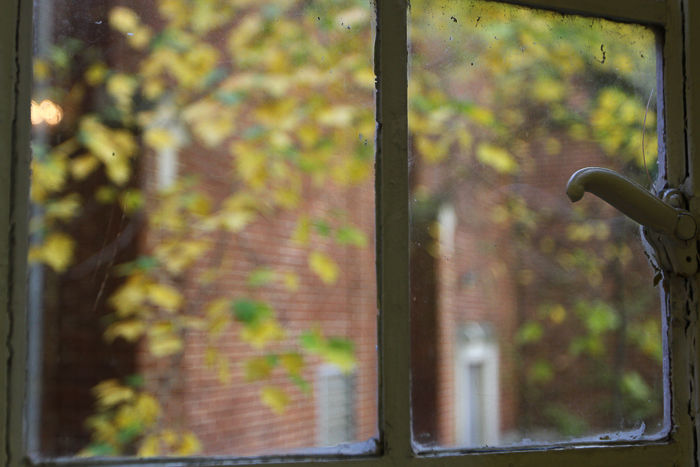 Window